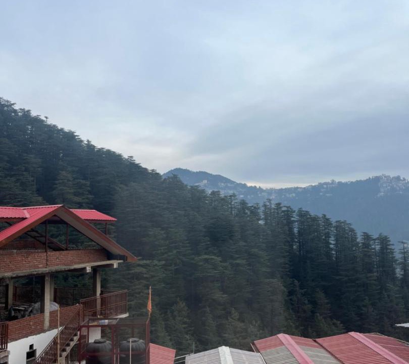 Photo of Others in Shimla