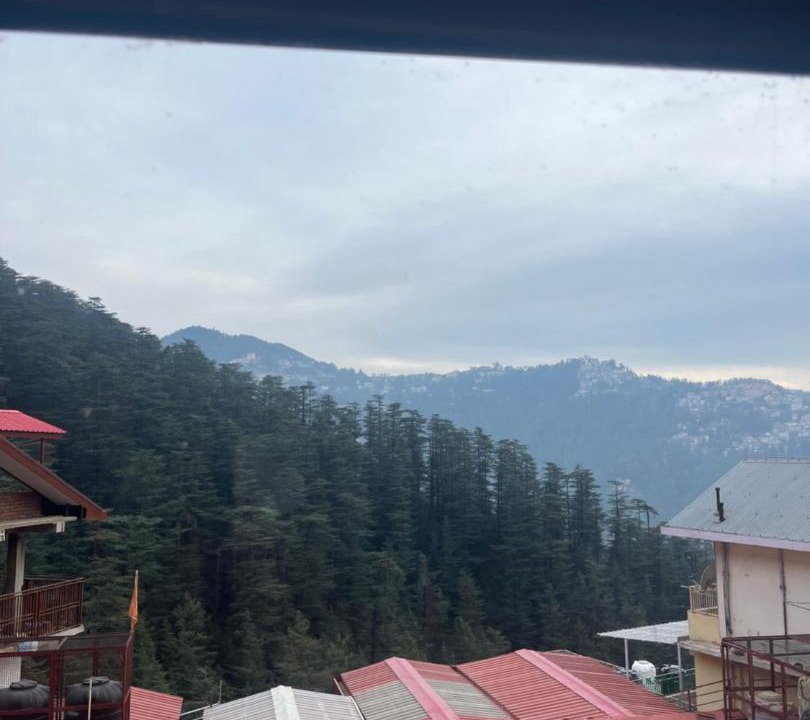 Photo of Others in Shimla
