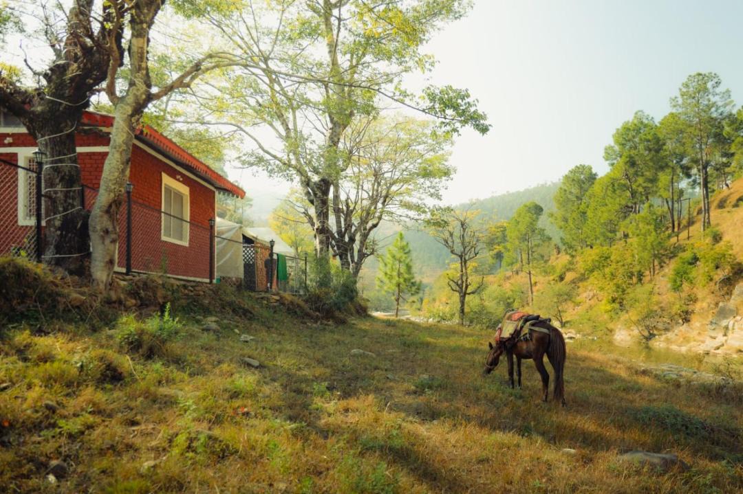 Photo of Others in Almora