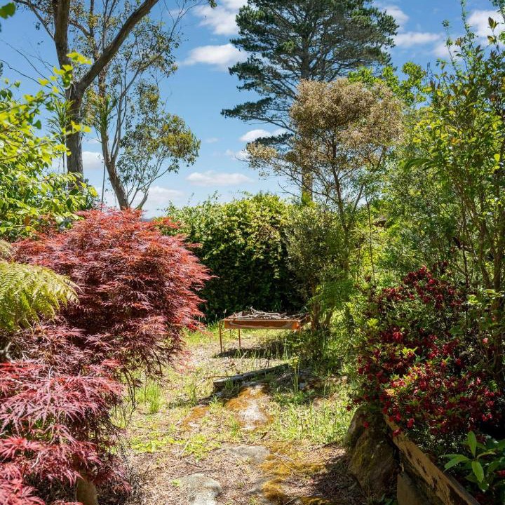 Photo of Others in Wentworth Falls
