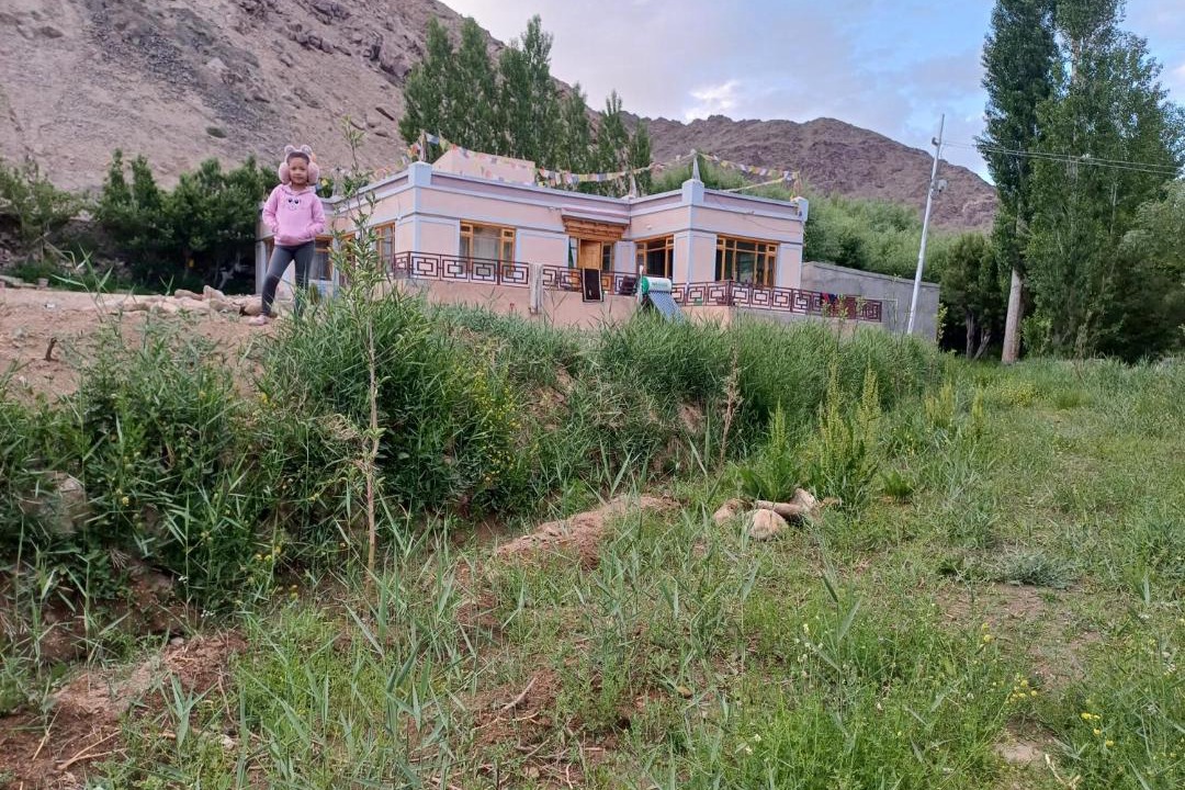 Photo of Others in Leh