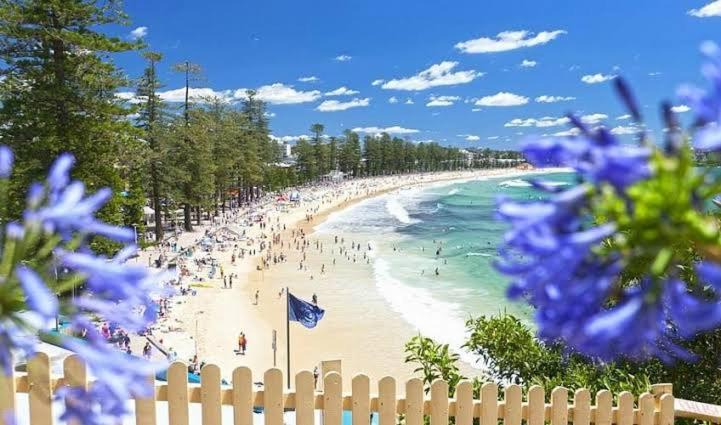 Photo of Others in Manly Vale