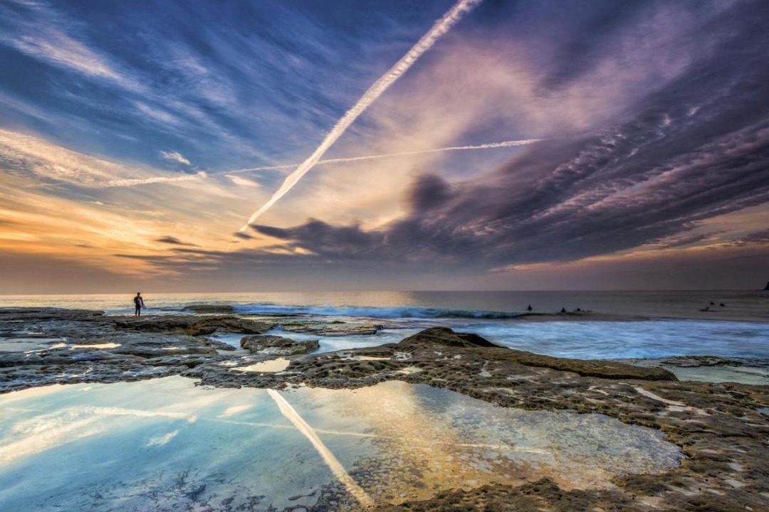 Photo of Others in Tamarama