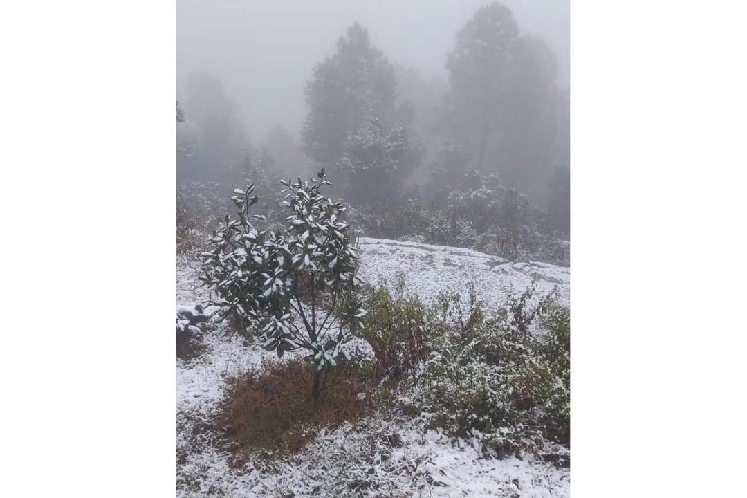 Photo of Others in Kausani