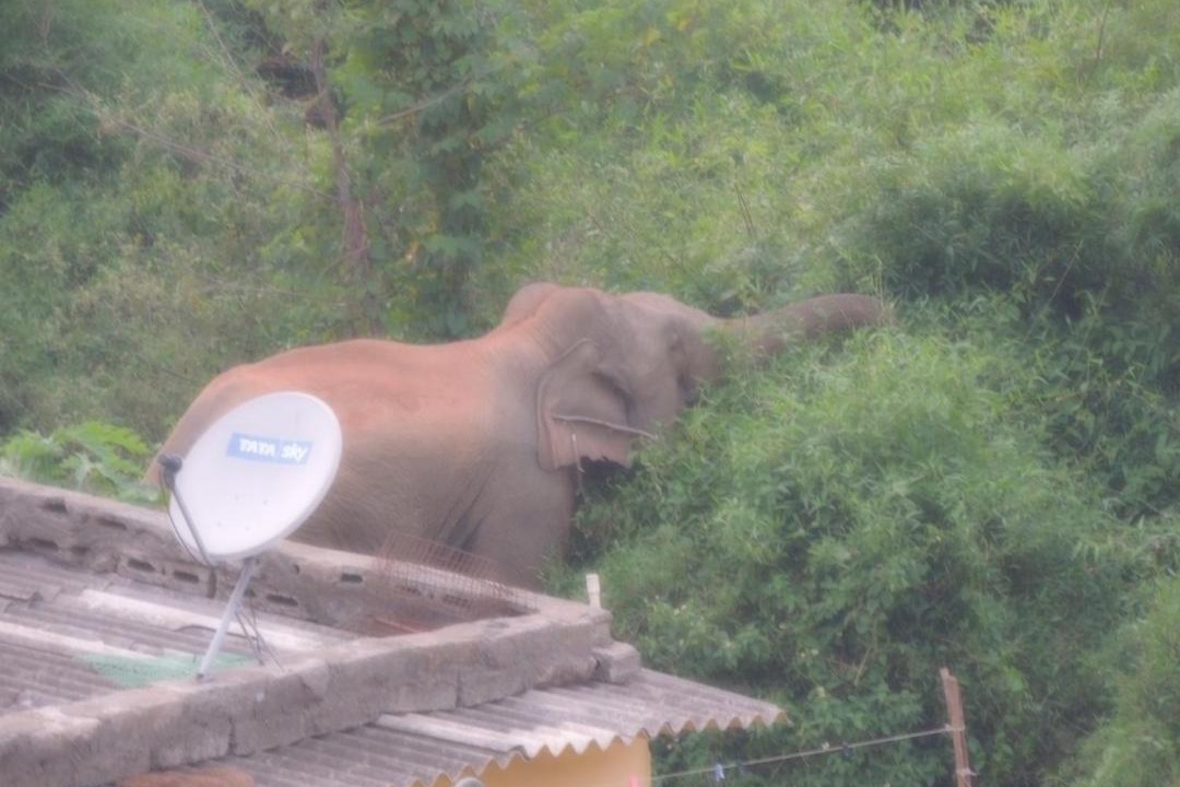 Photo of Others in Bhubaneshwar