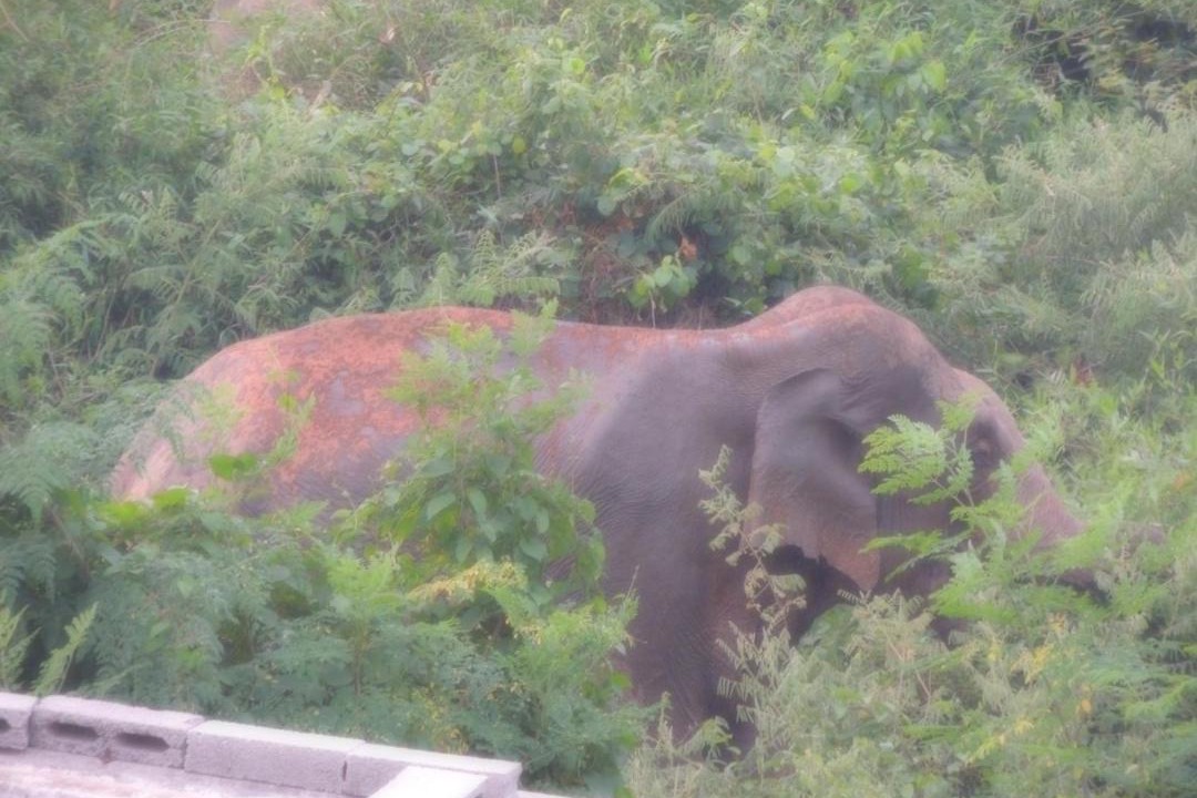Photo of Others in Bhubaneshwar