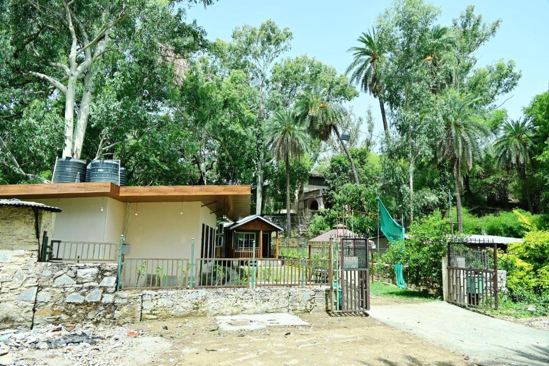 Photo of Others in Mount Abu