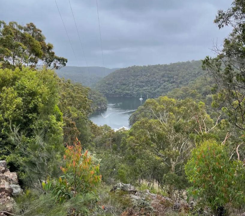 Photo of Others in Mount Colah