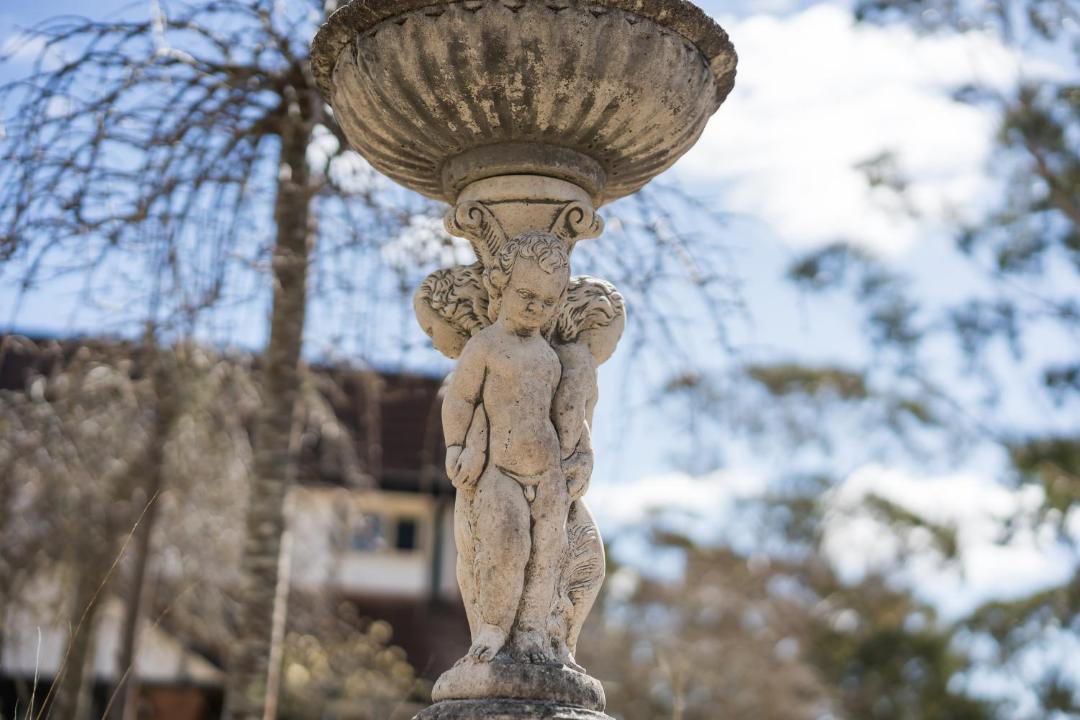 Photo of Others in Wentworth Falls