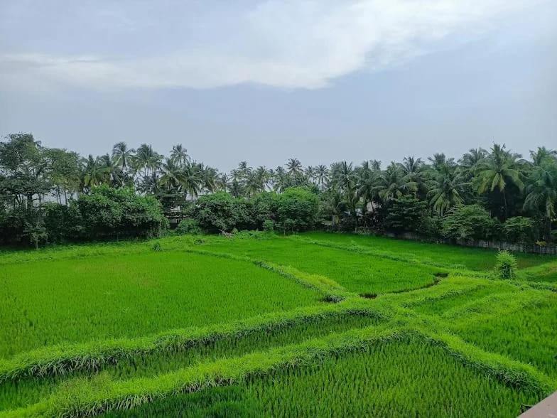 Photo of Others in Murud