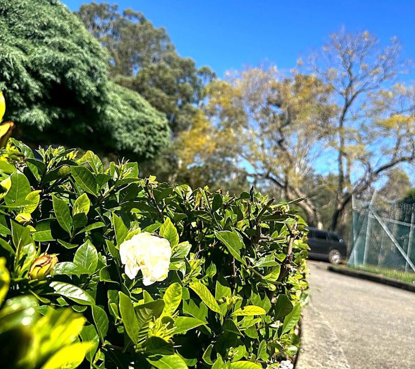 Photo of Outdoor in Casula