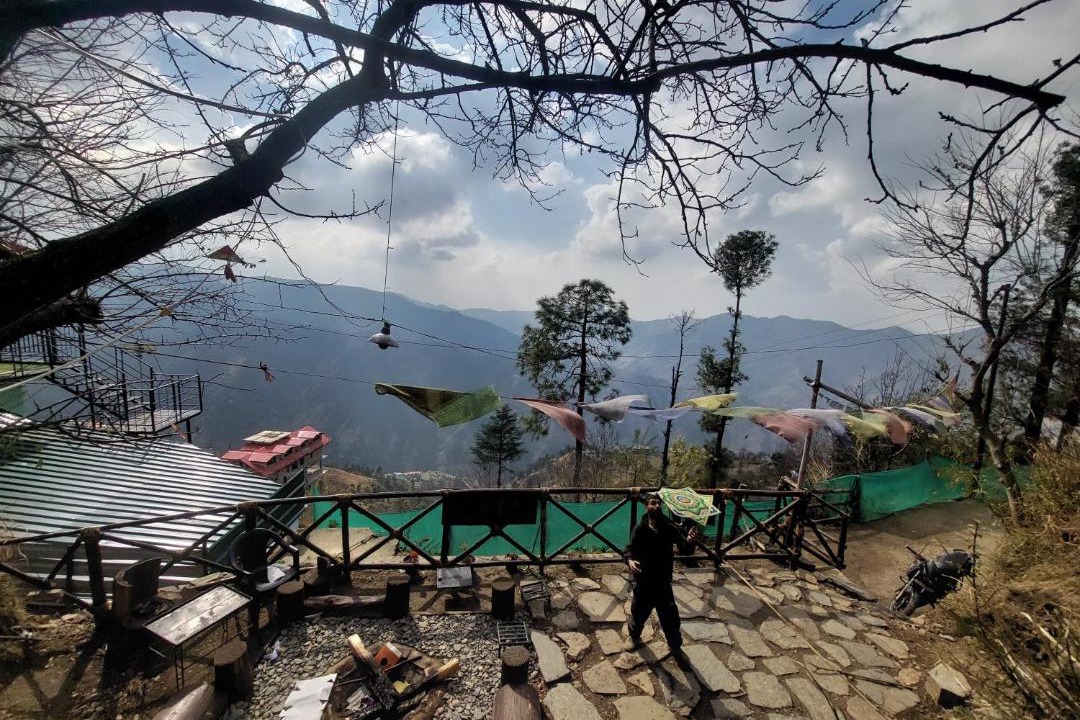 Photo of Others in Shimla