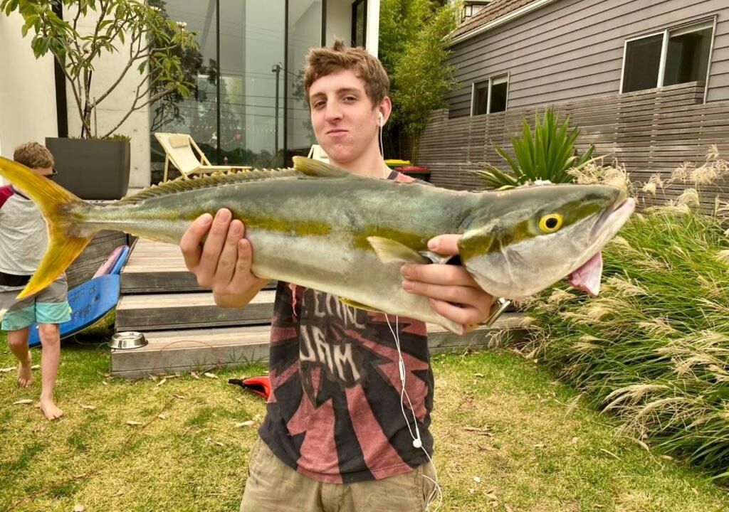 Photo of Others in Phegans Bay