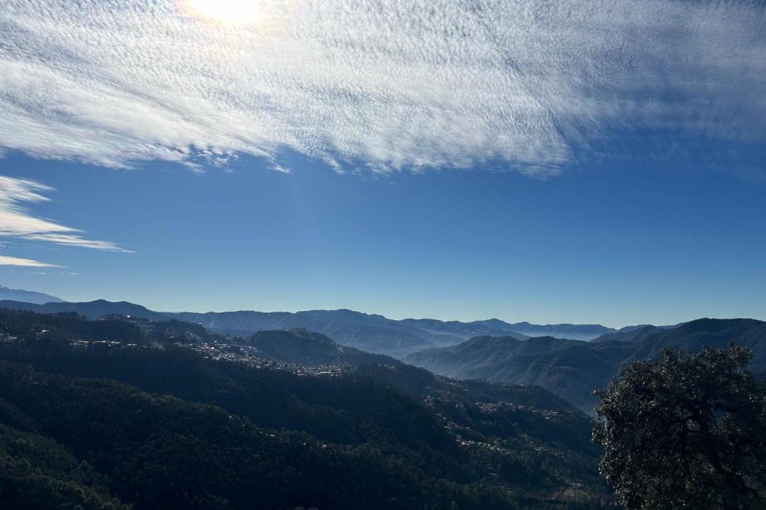 Photo of Others in Shimla