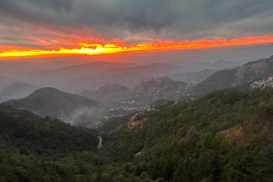 Photo of Others in Shimla