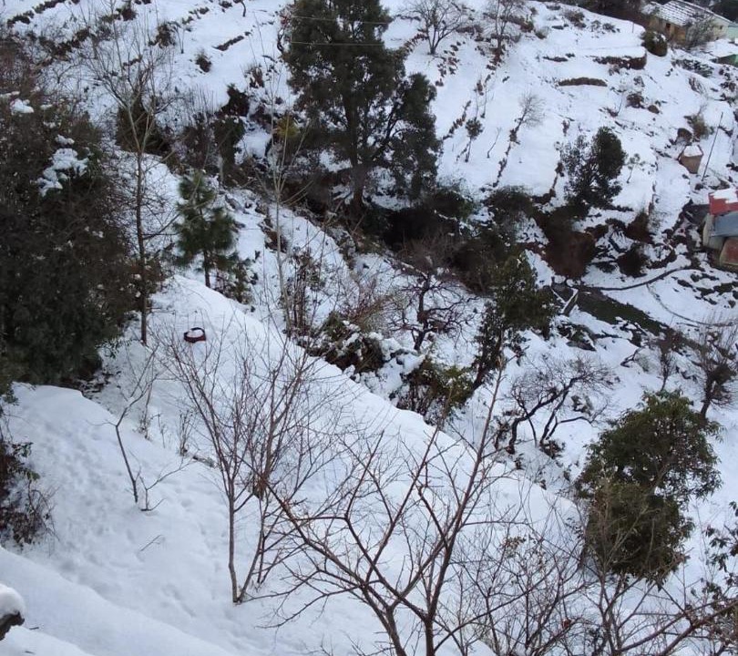 Photo of Others in Seetla