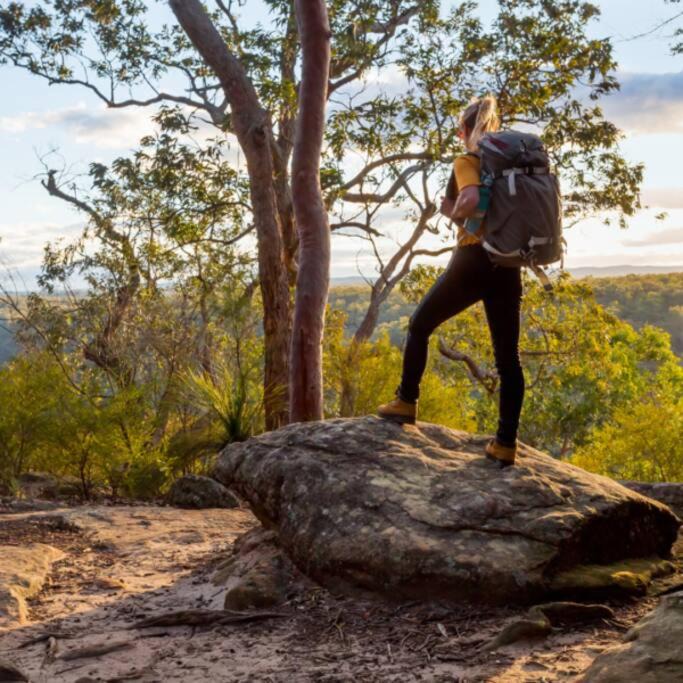 Photo of Others in Austinmer
