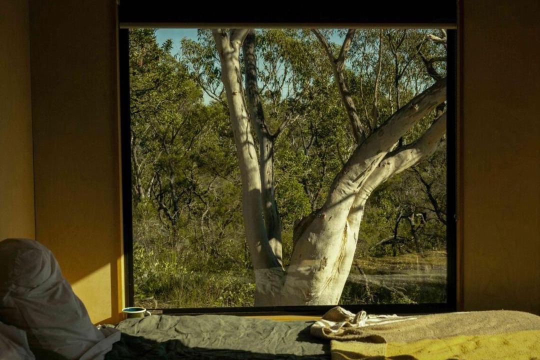 Photo of Others in Mangrove Mountain