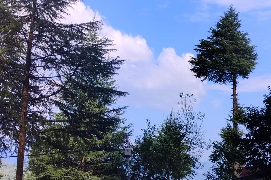Photo of Others in Almora