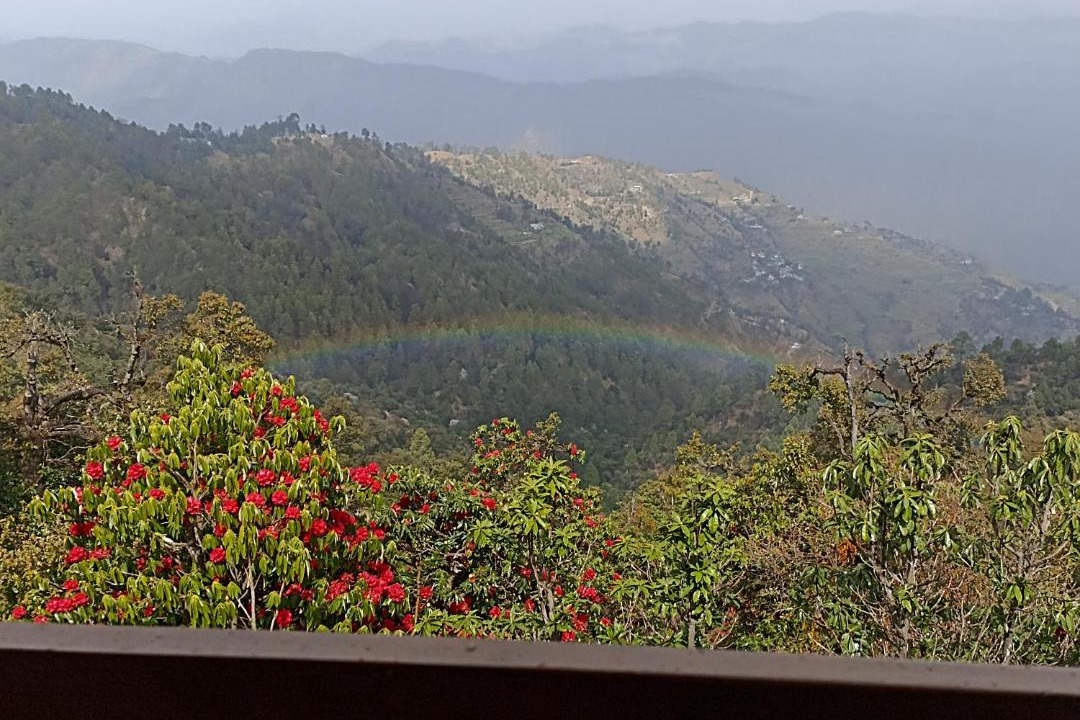 Photo of Others in Almora