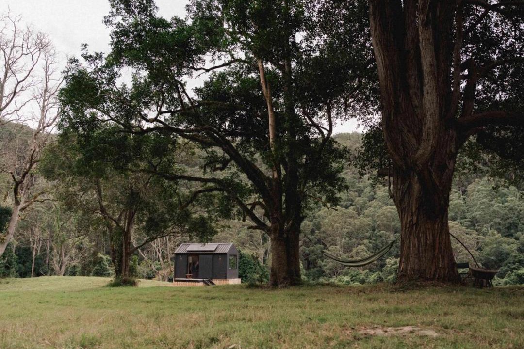 Photo of Others in Cedar Brush Creek