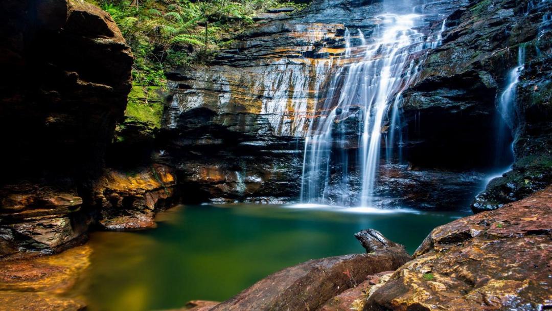 Photo of Others in Wentworth Falls