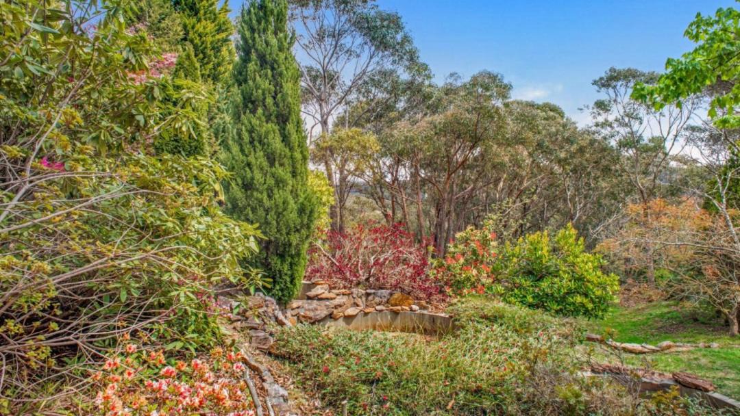 Photo of Others in Wentworth Falls