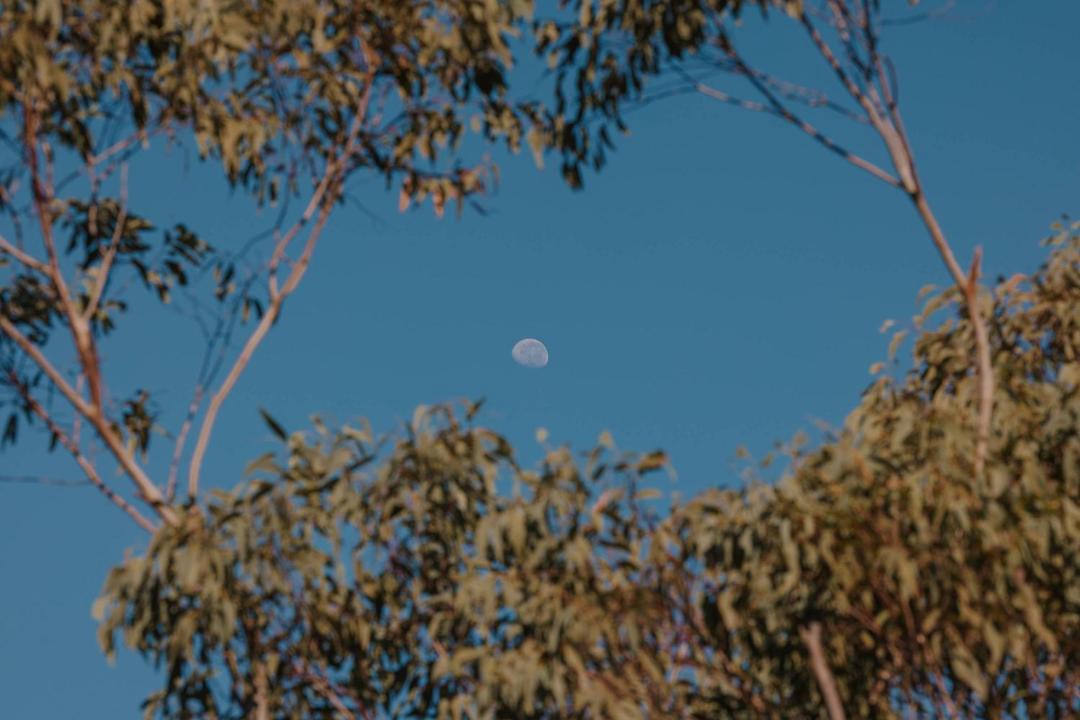 Photo of Others in Dural