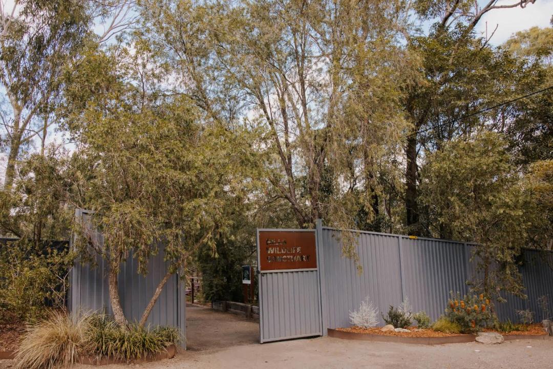 Photo of Others in Dural