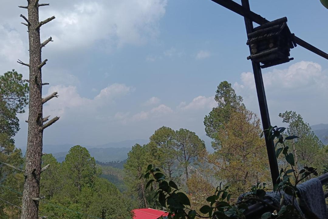 Photo of Others in Almora