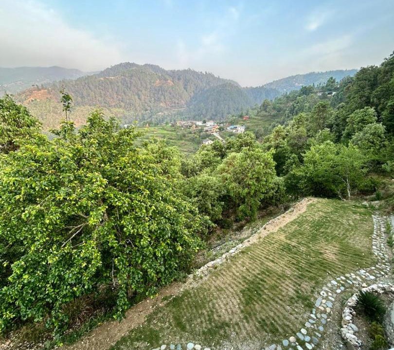 Photo of Others in Kaul