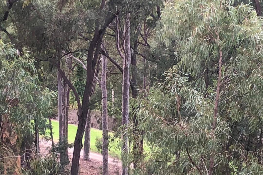 Photo of Others in Pokolbin