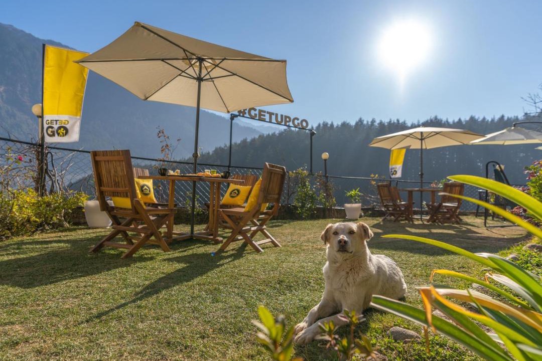Photo of Others in Old Manali