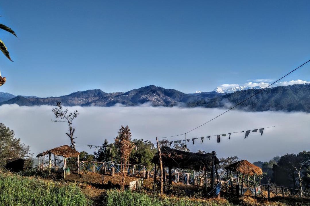 Photo of Others in Almora