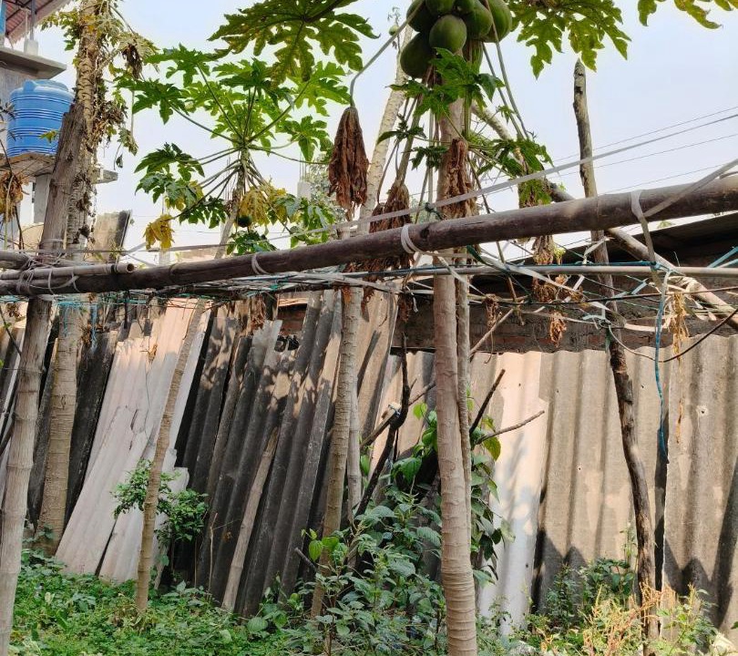 Photo of Others in Bagdogra