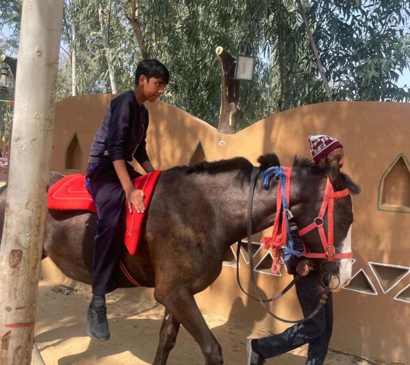Photo of Others in Hisar