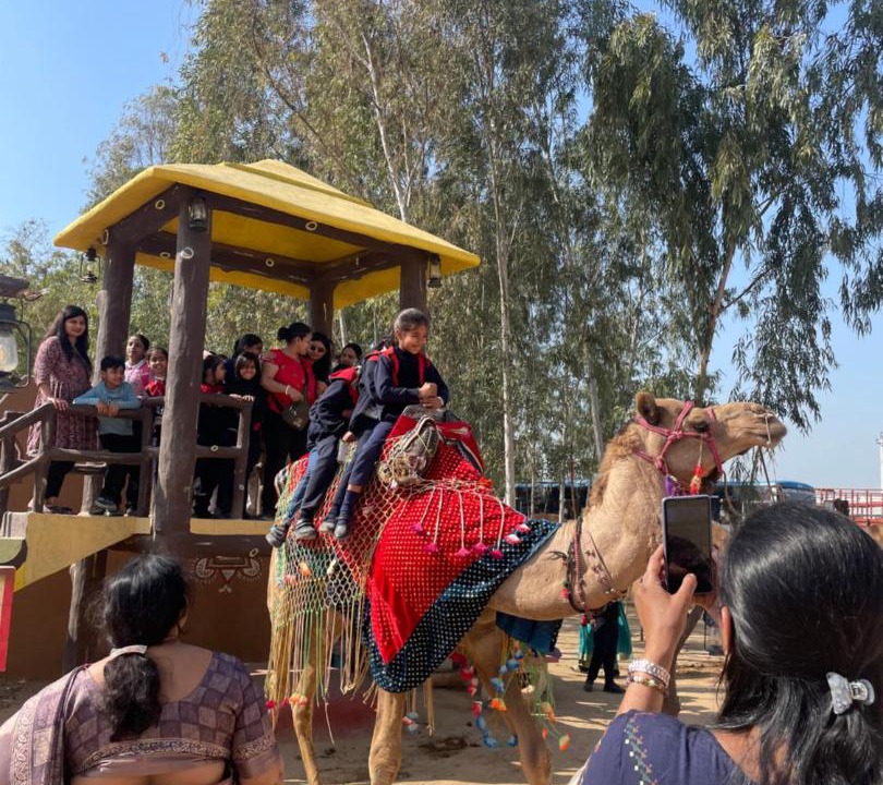 Photo of Others in Hisar