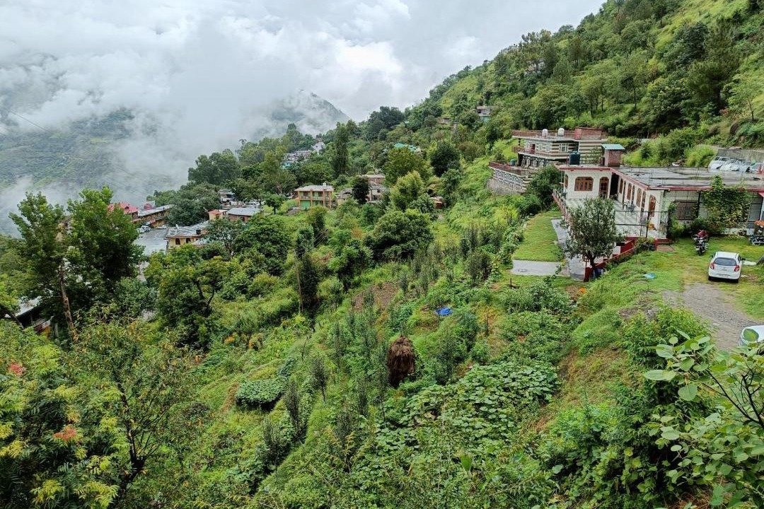 Photo of Others in Kumharsain