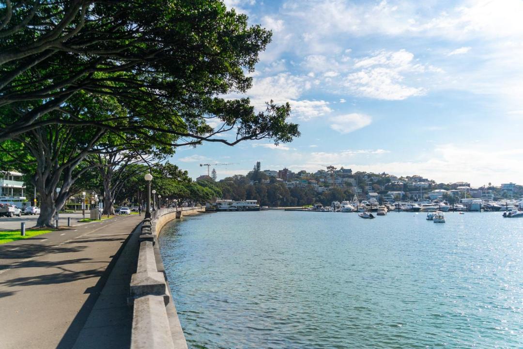 Photo of Others in Bellevue Hill