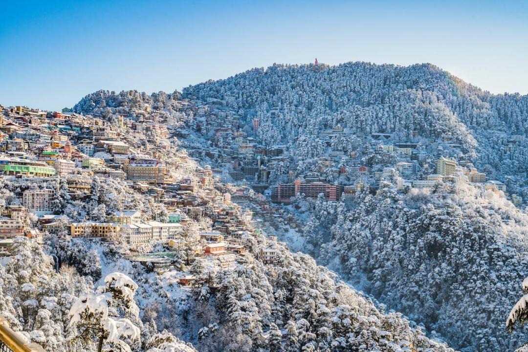 Photo of Others in Shimla