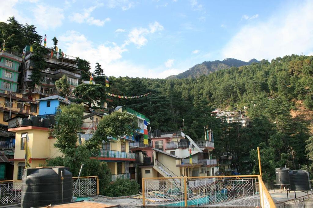 Photo of Others in McLeod Ganj
