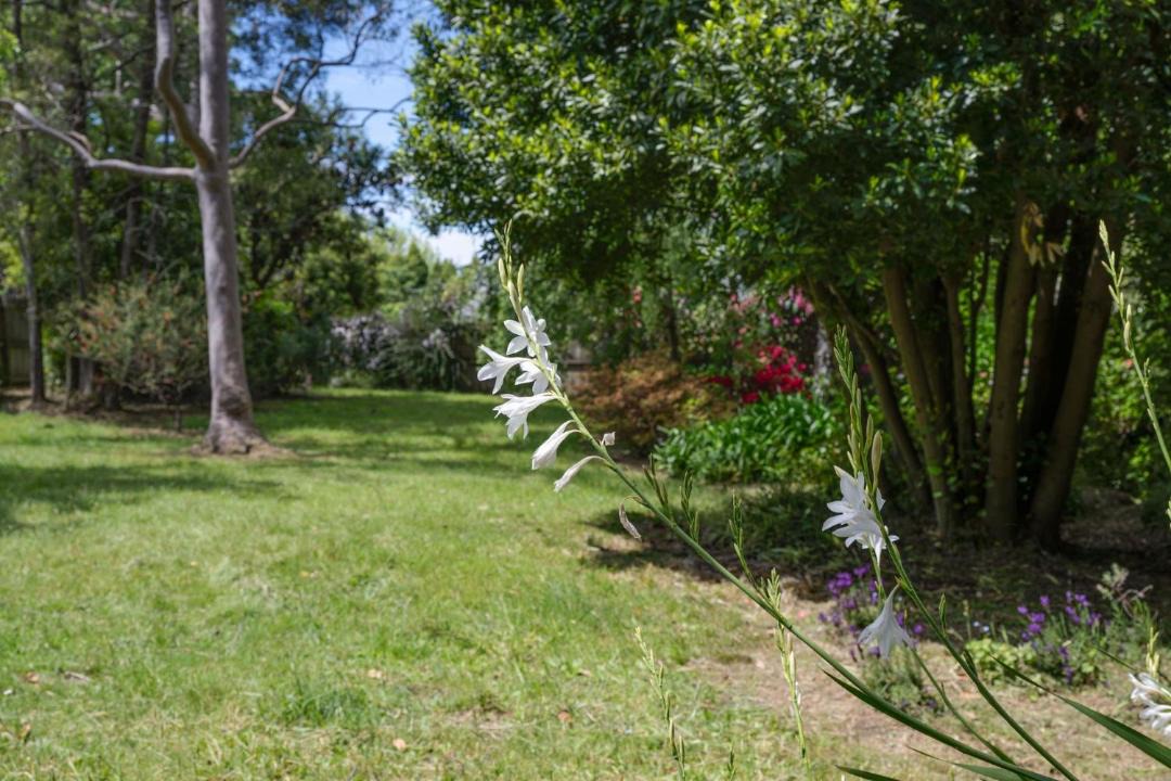 Photo of Others in Wentworth Falls