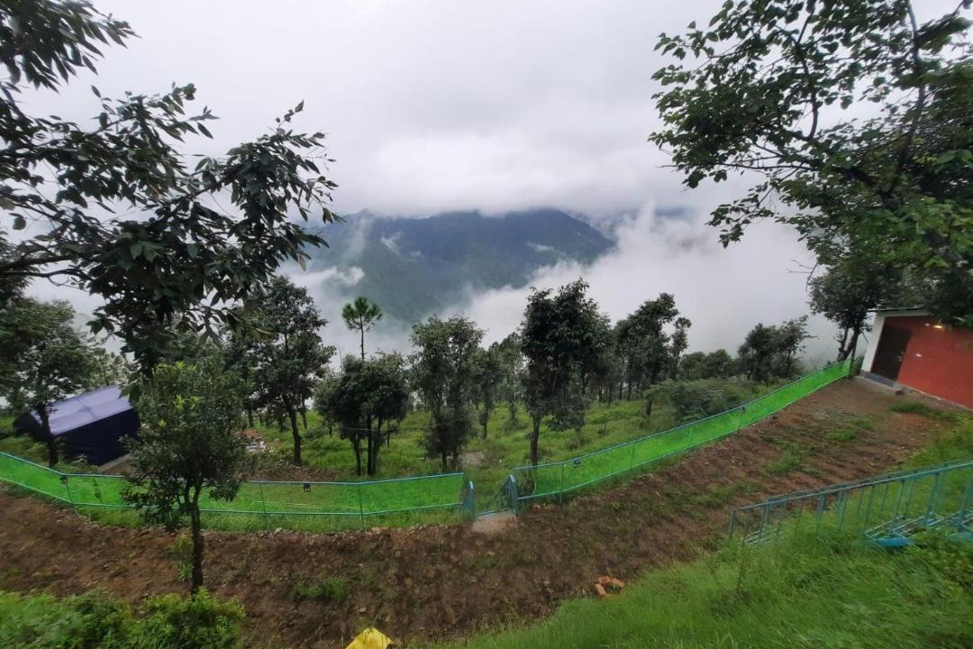 Photo of Others in Tehri