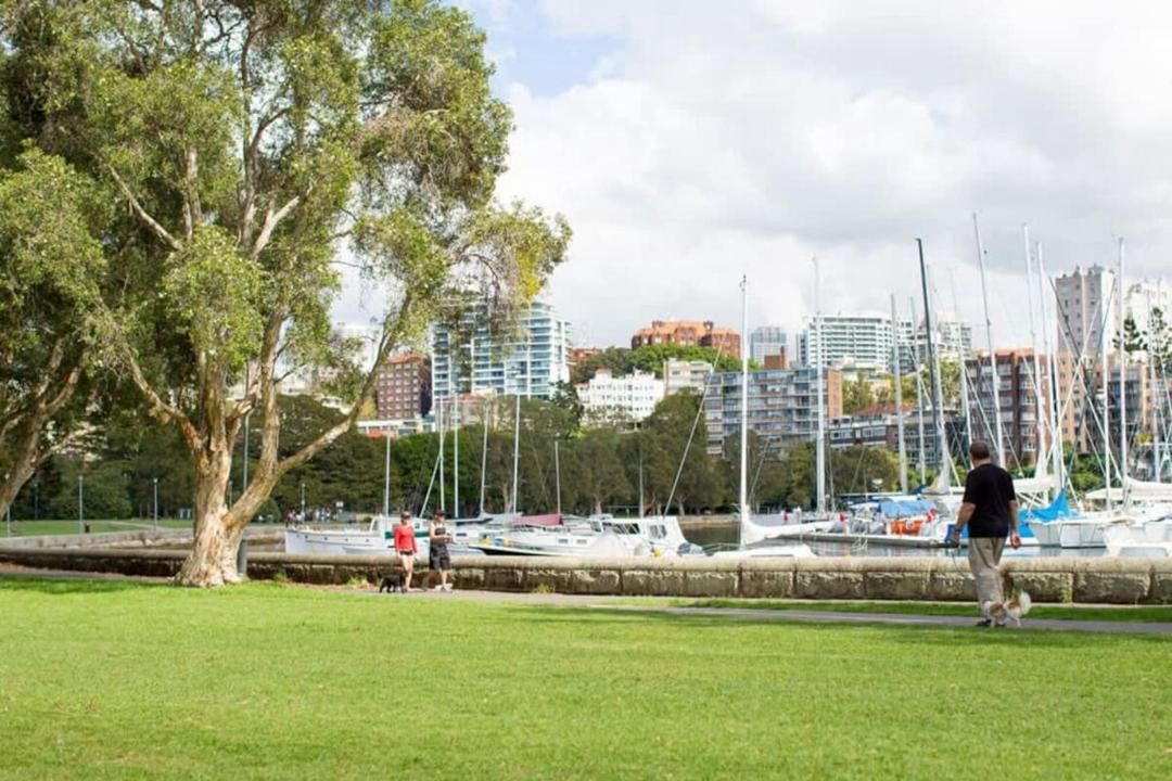 Photo of Others in Rushcutters Bay