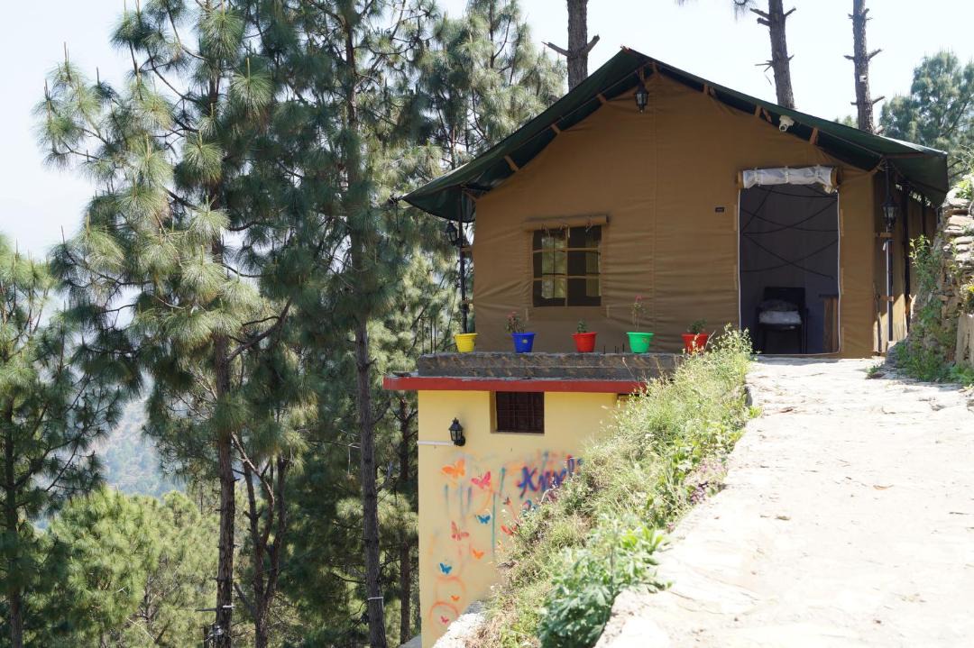 Photo of Others in Tehri