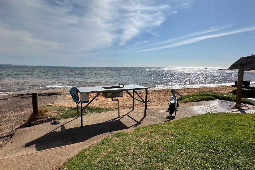 Photo of Others in Collaroy