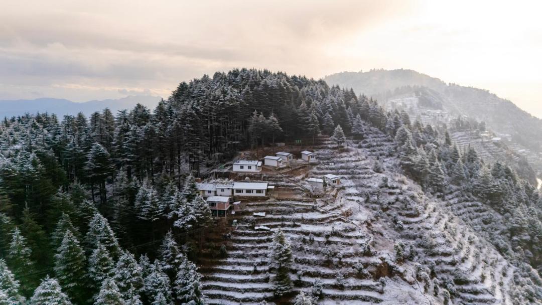 Photo of Others in Kanatal