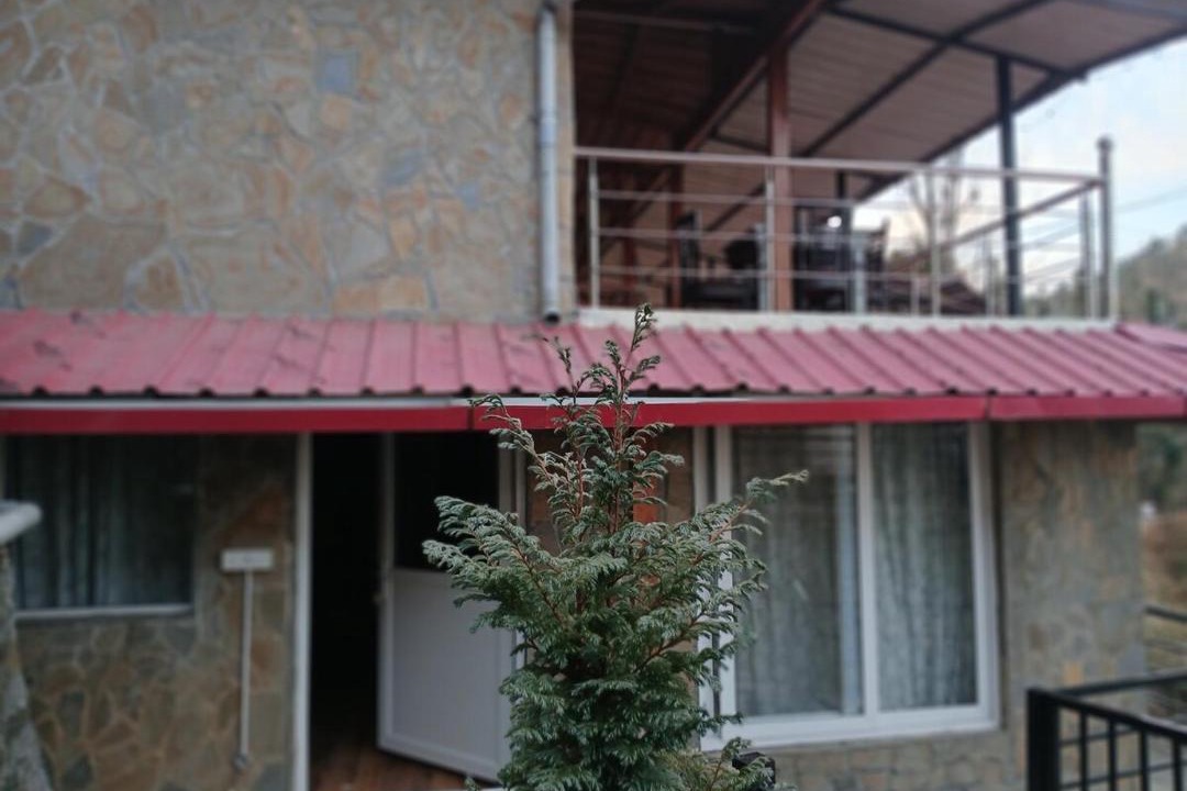 Photo of Others in Mukteshwar
