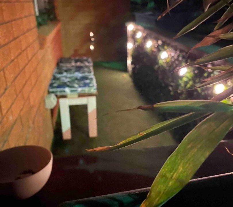 Photo of Others in Dee Why