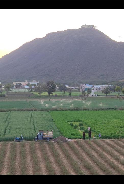 Photo of Others in Pushkar
